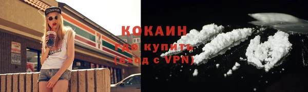 мдпв Осташков