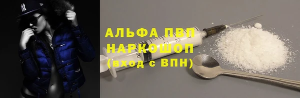 стафф Осинники