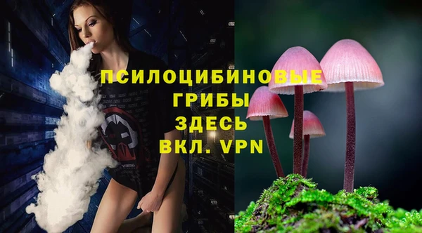 гидра Абдулино