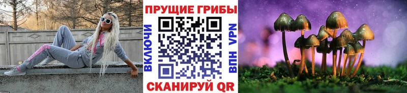 Галлюциногенные грибы Magic Shrooms  Канск 